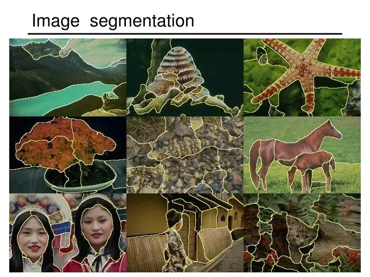 image segmentation