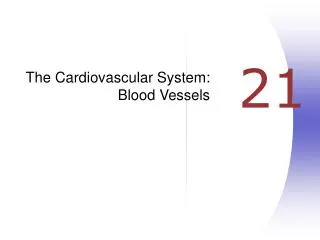 The Cardiovascular System: Blood Vessels
