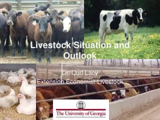 Livestock Situation and Outlook