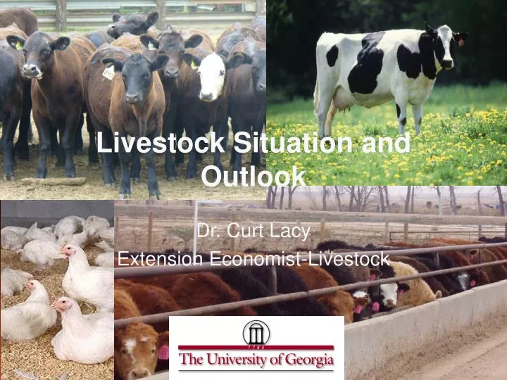 livestock situation and outlook