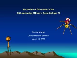 Mechanism of Stimulation of the DNA-packaging ATPase in Bacteriophage T4