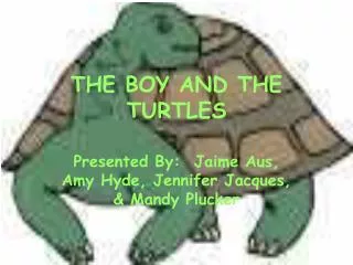 THE BOY AND THE TURTLES