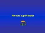 Micosis superficiales - slide 1