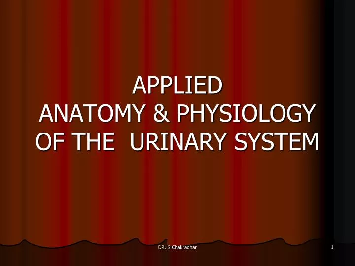 applied anatomy physiology of the urinary system