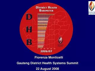 Fiorenza Monticelli Gauteng District Health Systems Summit 22 August 2008