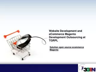 Website Development and eCommerce Magento Development