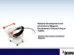 Website Development and eCommerce Magento Development