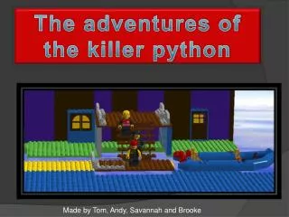 The adventures of the killer python