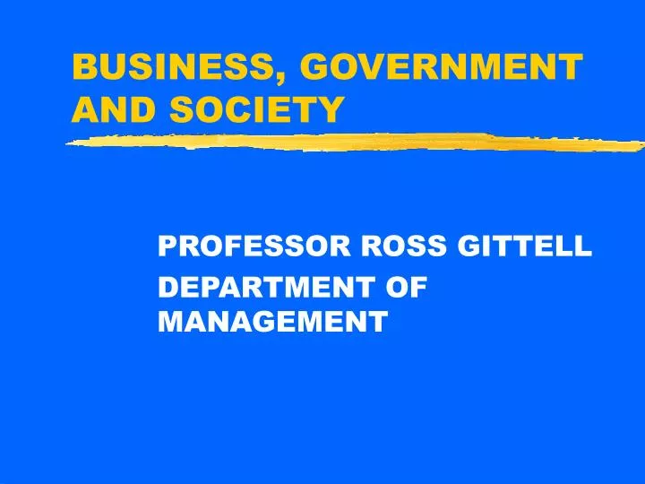 business government and society