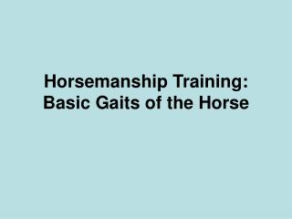 Horsemanship Training: Basic Gaits of the Horse