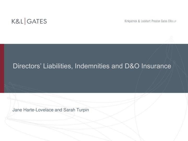directors liabilities indemnities and d o insurance