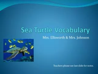 Sea Turtle Vocabulary