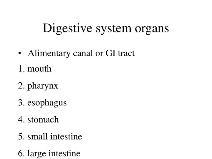 PPT - Digestive system organs PowerPoint Presentation, free download ...