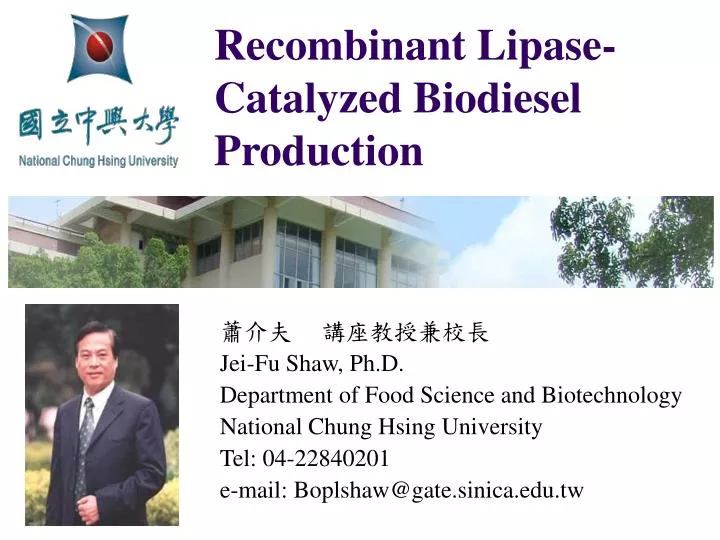 recombinant lipase catalyzed biodiesel production