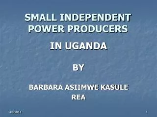 SMALL INDEPENDENT POWER PRODUCERS