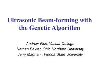 Ultrasonic Beam-forming with the Genetic Algorithm