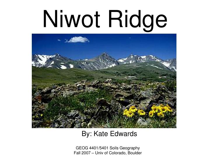 niwot ridge