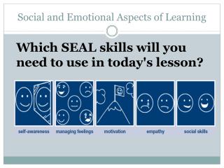 Social and Emotional Aspects of Learning