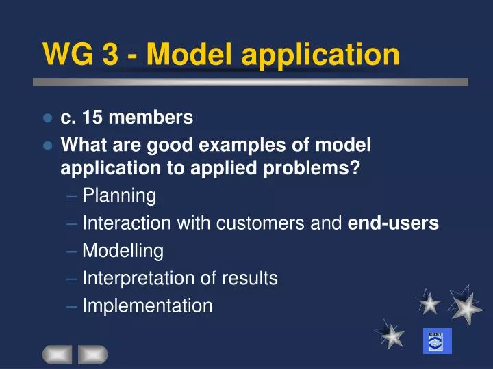wg 3 model application