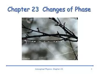Chapter 23 Changes of Phase