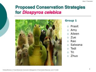 Proposed Conservation Strategies for Diospyros celebica