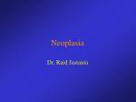 Neoplasia - slide 1