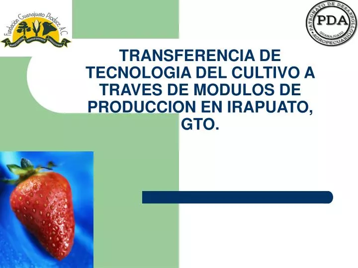 transferencia de tecnologia del cultivo a traves de modulos de produccion en irapuato gto