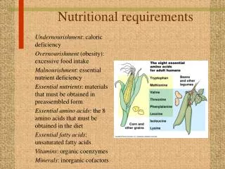 Nutritional requirements