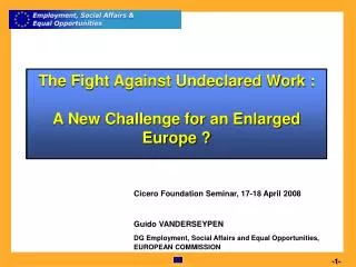 The Fight Against Undeclared Work : A New Challenge for an Enlarged Europe ?