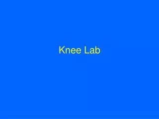 Knee Lab