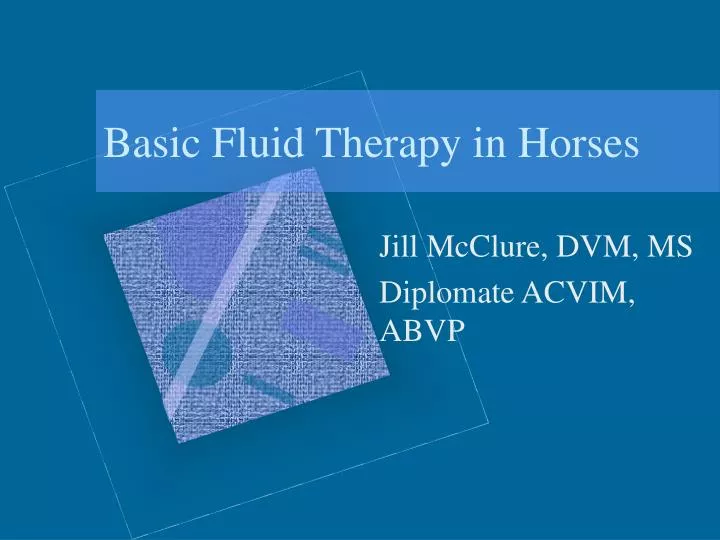 basic fluid therapy in horses