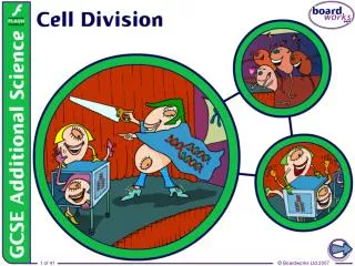 Why do cells divide?