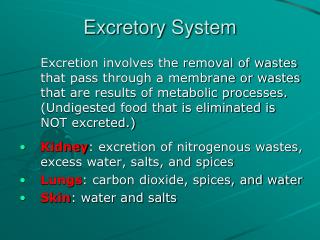 Excretory System