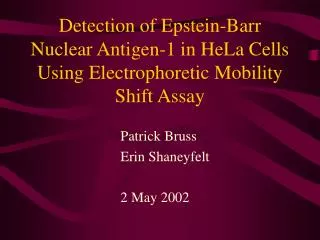 Detection of Epstein-Barr Nuclear Antigen-1 in HeLa Cells Using Electrophoretic Mobility Shift Assay