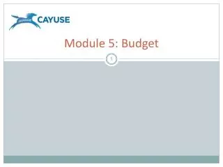 Module 5: Budget