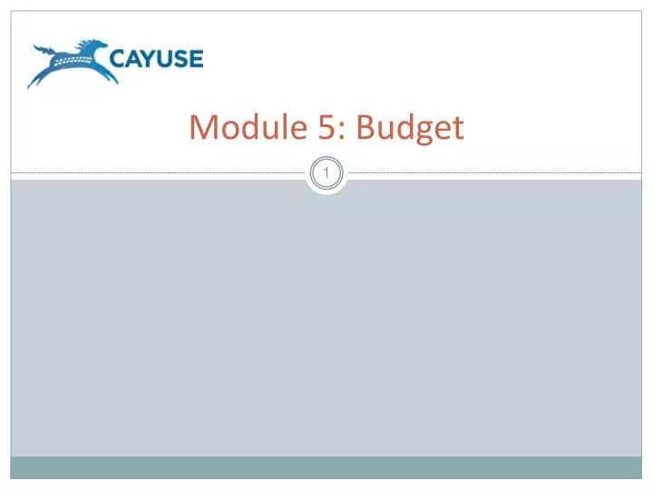 module 5 budget