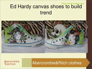 Ed Hardy canvas shoes to build trend