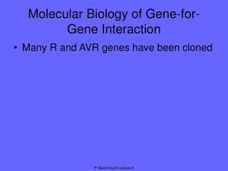 Molecular Biology of Gene-for-Gene Interaction