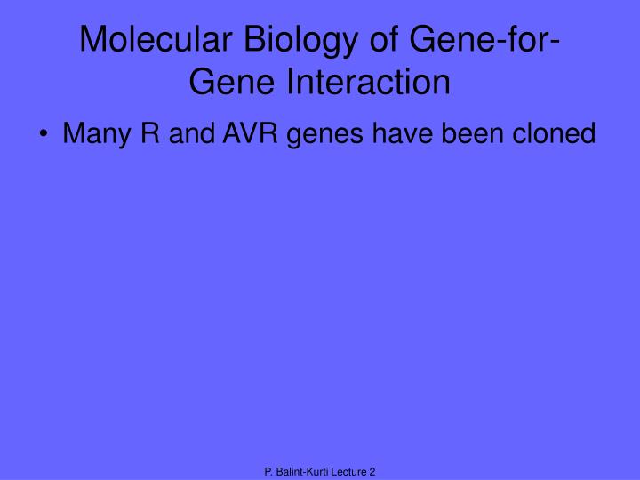 molecular biology of gene for gene interaction