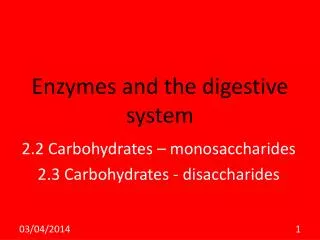 Enzymes and the digestive system