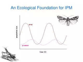 An Ecological Foundation for IPM
