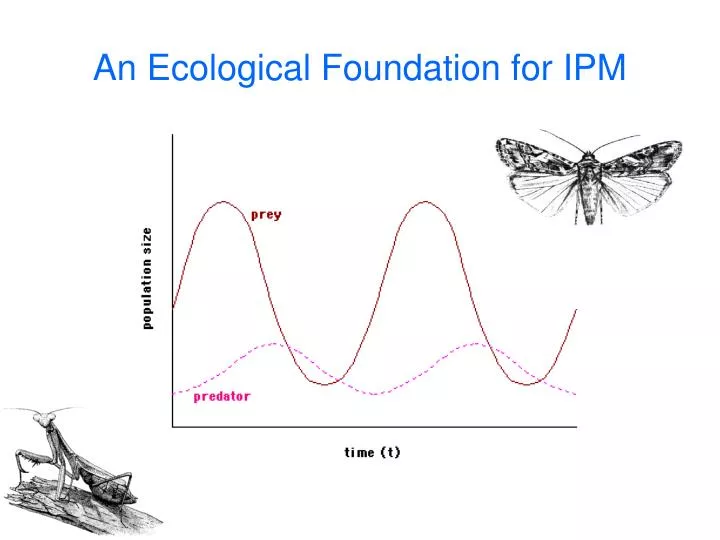 an ecological foundation for ipm