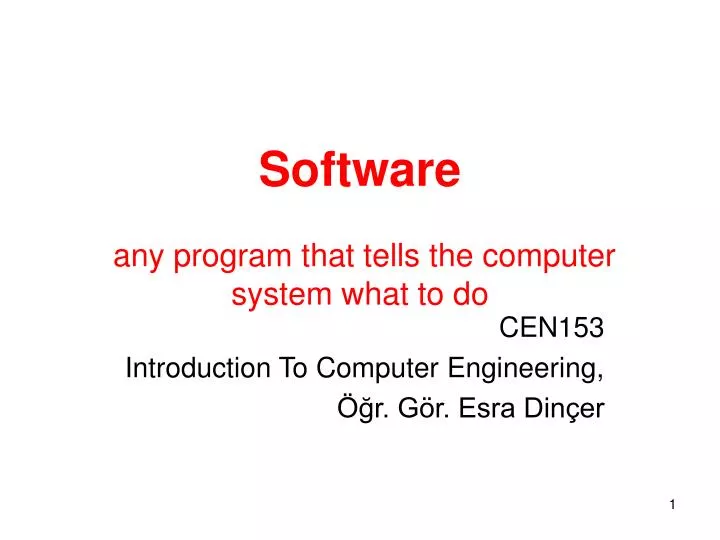 software any program that tells the computer system what to do