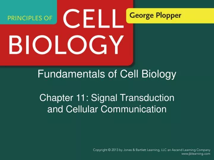 fundamentals of cell biology