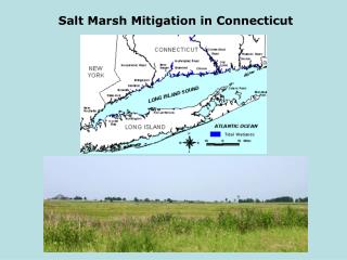 Salt Marsh Mitigation in Connecticut