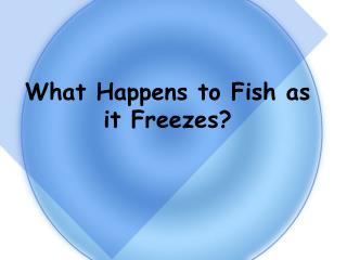 What Happens to Fish as it Freezes?