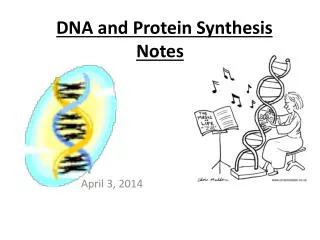 DNA and Protein Synthesis Notes