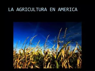 LA AGRICULTURA EN AMERICA