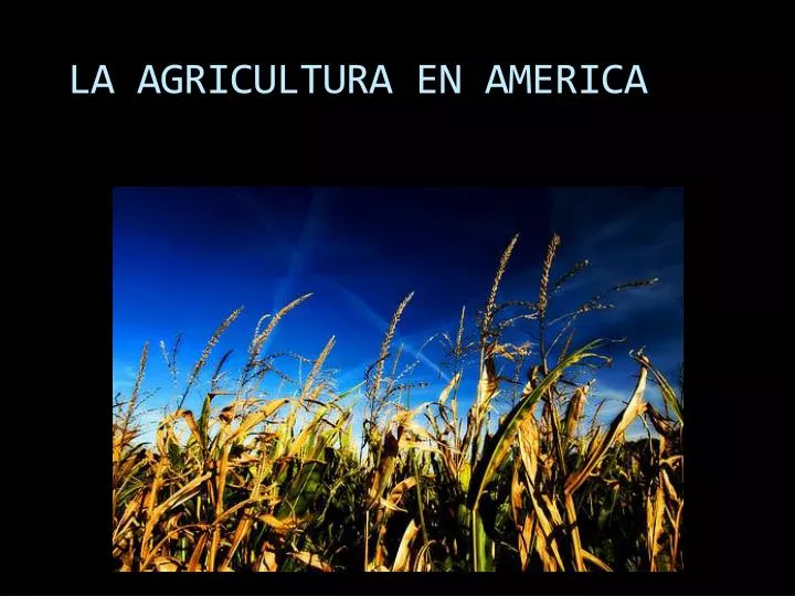 la agricultura en america