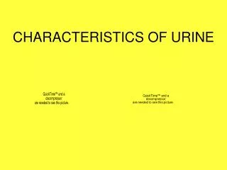 CHARACTERISTICS OF URINE